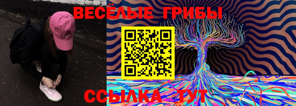 Галлюциногенные грибы Magic Shrooms  Вход с VPN  Галлюциногенные грибы прущие грибы  Петрозаводск 
