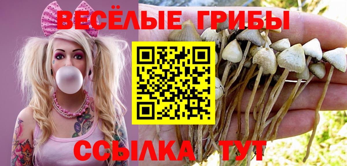 Псилоцибиновые грибы мухоморы Петрозаводск