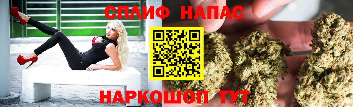Конопля сатива Петрозаводск